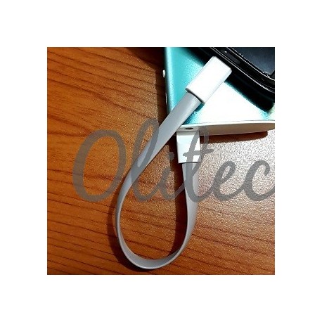 Kabel Cas+Kabel Data Micro Samsung, BB (Panjang 30cm)